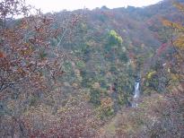 INDEX Image dsc10052.jpg